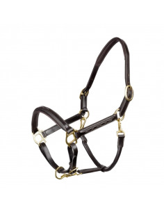 John Whitaker Lädergrimma Fancy 2