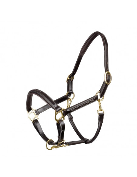 John Whitaker Lädergrimma Fancy