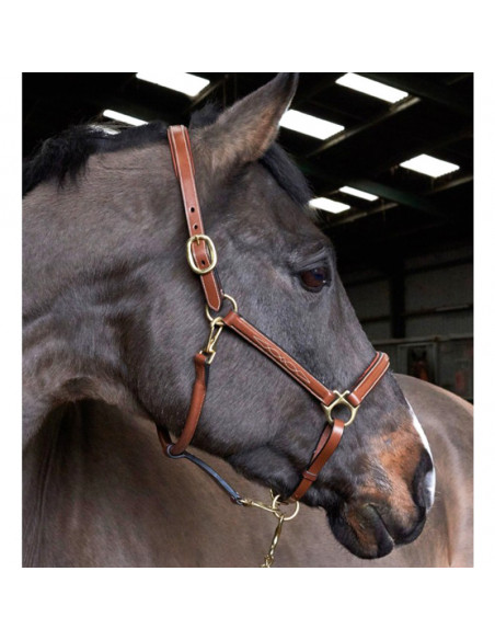 John Whitaker Lädergrimma Fancy