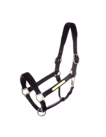 Kavalkade Lädergrimma