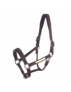 Kavalkade Lädergrimma 2