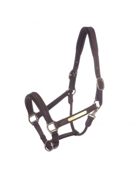 Kavalkade Lädergrimma