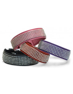 Hundhalsband 6 blingstenar