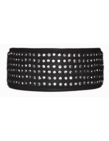 Hundhalsband 6 blingstenar