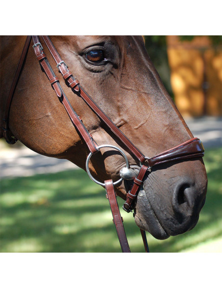 Dyón Remontträns Lackad Dressage Collection