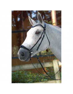 Dyón Remontträns Lackad Dressage Collection