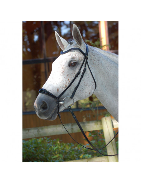 Dyón Remontträns Lackad Dressage Collection