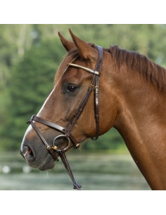 Mountain Horse Träns Gladstone 2