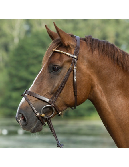 Mountain Horse Träns Gladstone