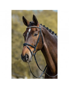 Mountain Horse träns Milton