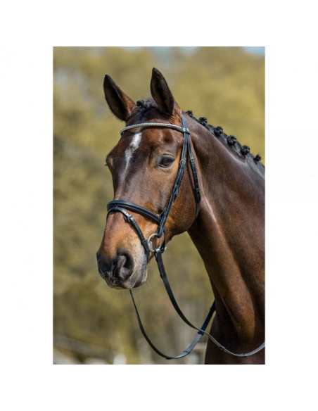 Mountain Horse träns Milton