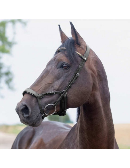 Horze Träns Stewart