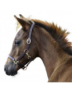 Lippo Selected fölgrimma