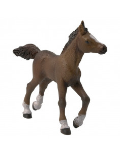 Ekkia Anglo-Arab föl