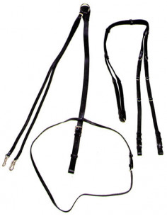 Globus Thiedemanntygel 2