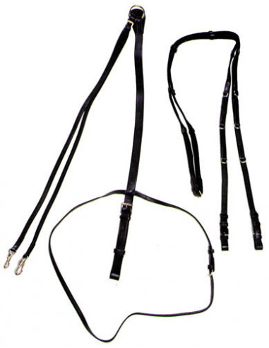 Globus Thiedemanntygel