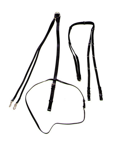 Globus Thiedemanntygel