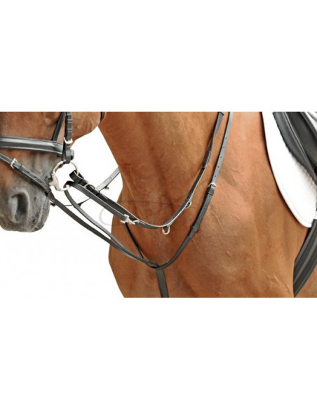 Globus Thiedemanntygel