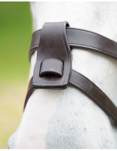 Shires Acchenrem med fäste 2