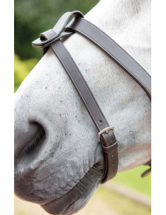 Shires Acchenrem med fäste