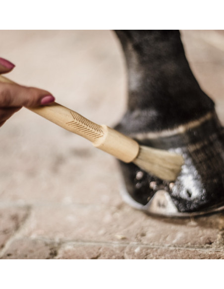 Kentucky Hoof Pencil