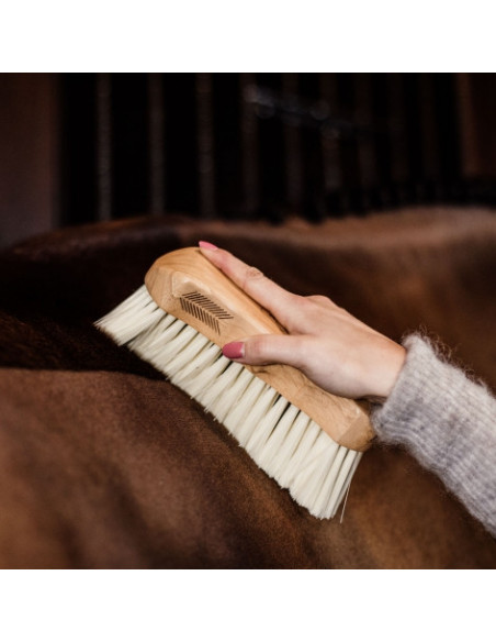 Kentucky Boddy Brush middle soft