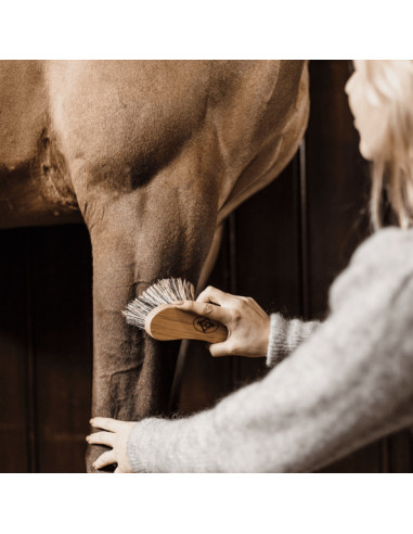 Kentucky Middle Hard Brush