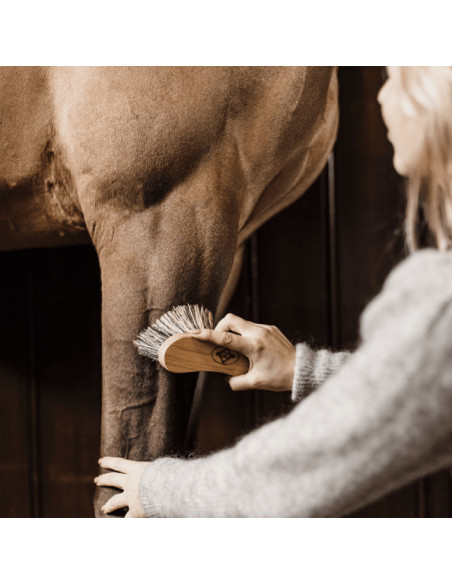 Kentucky Middle Hard Brush