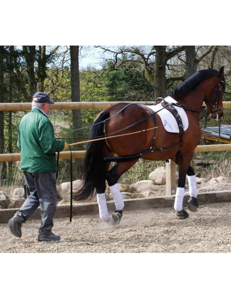 Globus Träningstöm 16m