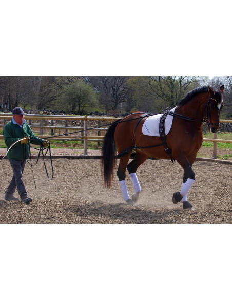 Globus Träningstöm 16m