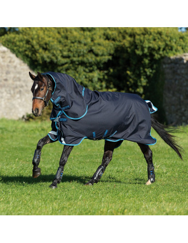 Amigo Bravo-12 Plus 100g Front Disc