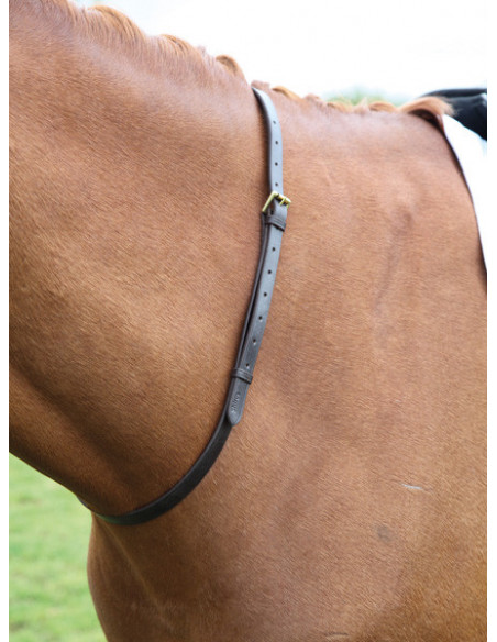 Shires halsrem Havanna