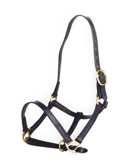 Globus Fölgrimma läder