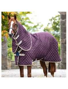 Amigo Stable Plus 200g Disc