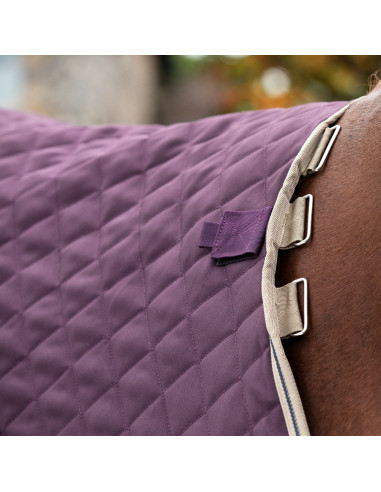 Amigo Stable Plus 200g Disc