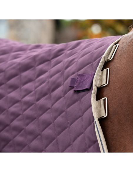 Amigo Stable Plus 200g Disc