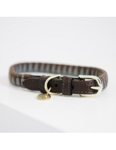 Kentucky Hundhalsband Triangel