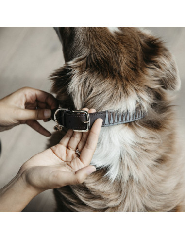 Kentucky Hundhalsband Triangel