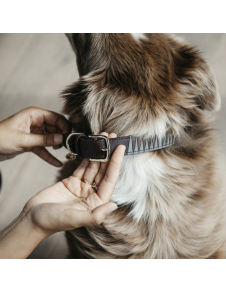 Kentucky Hundhalsband Triangel
