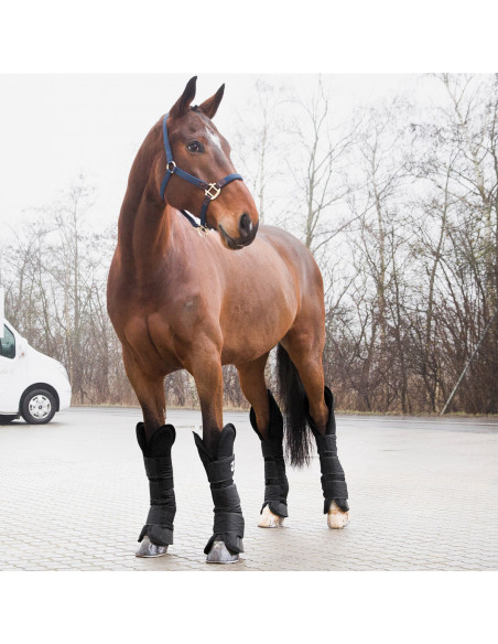 Horze Transportskydd