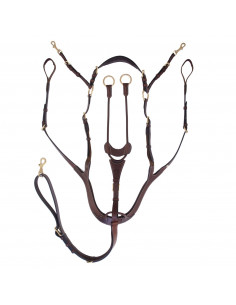 Jacson Förbygel Corona