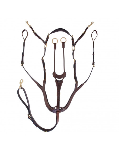 Jacson Förbygel Corona