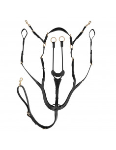 Jacson Förbygel Corona 2