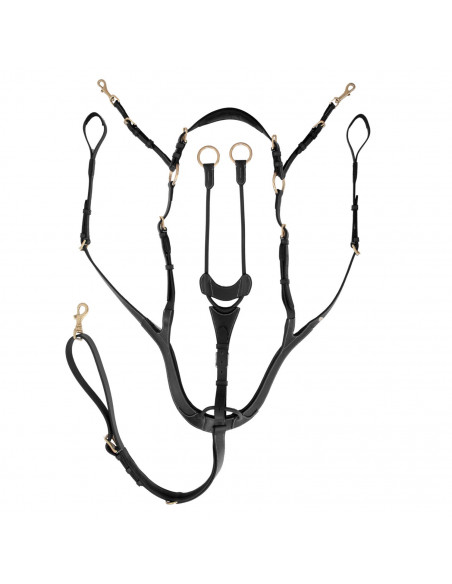 Jacson Förbygel Corona