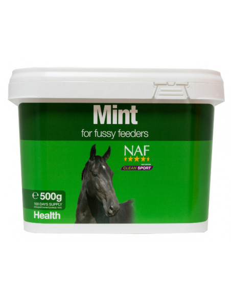 NAF Mint 500g