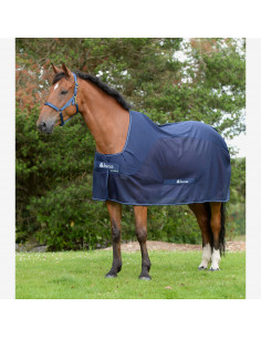 SRF Competition Cooler Marin