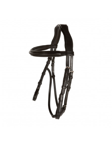 Lippo Hackamoreträns Chester