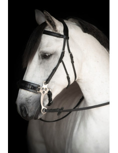 Lippo Hackamoreträns Chester