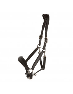 Lippo Grimma Grooming 2