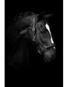 Lippo Grimma Grooming